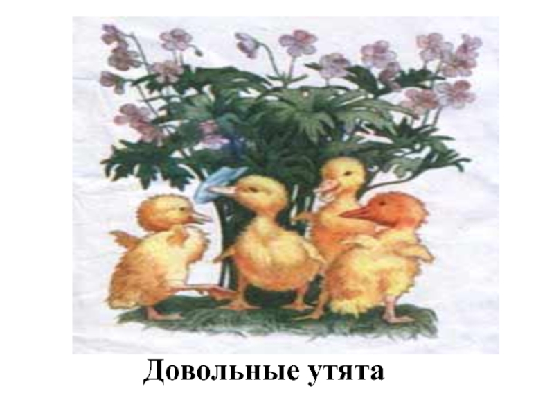 Храбрый утенок нарисовать рисунок 2 класс. Б. Житков Храбрый утенок картинный план. Утенок 2 класс. Житков Храбрый утенок картинный план. Храбрый утенок картинный план.