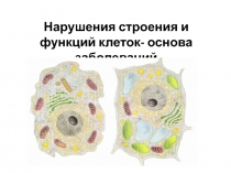 Презентация по биологии на тему Нарушения строения и функций клеток-основа заболеваний 9 класс по Сивоглазову