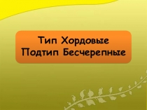 Презентация по биологии на тему Тип Хордовые. Подтип Бесчерепные.
