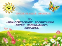 Презентация по познавательному развитию на тему Прогулки с детьми в разное время года (средняя группа)