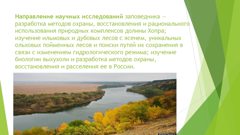 Изучение заповедников. Заповедники природные комплексы Воронежской области. Стихи про Хоперский заповедник. Стихотворение о Хопёрском заповеднике. Охрана и рациональное использование реки Хопер.