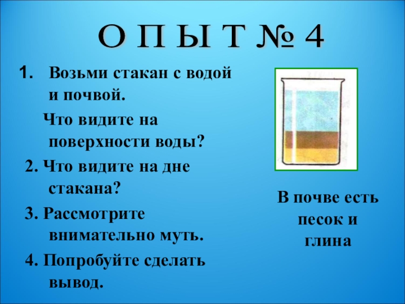 Какой вывод об образцах почв можно сделать в результате этого опыта