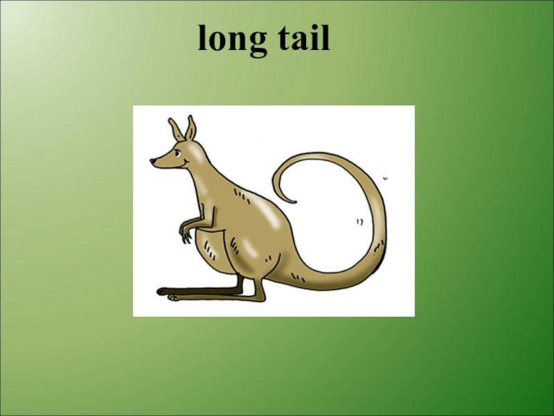 Big d is for long tongue. Хвост по английскому. The long Tail. Хвост рисунок. Карточки английский Tail.