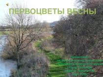 Прецентация по ознакомлению дошкольников с природой: Первоцветы весны