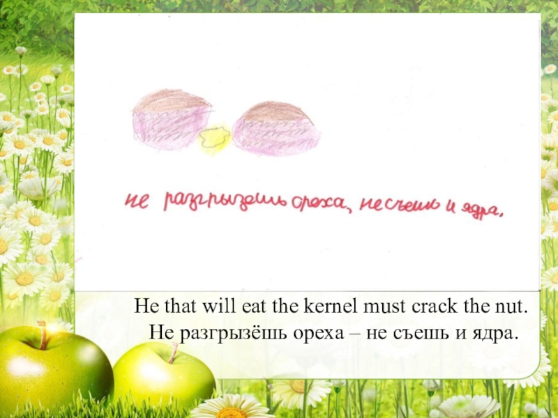 Не разгрызешь ореха не съешь ядра. Не разгрызёшь ореха не ядра. Не разгрызёшь ореха не пословица. Пословица не разгрызешь ореха так и ядра не. Поговорка не разгрызешь ореха.