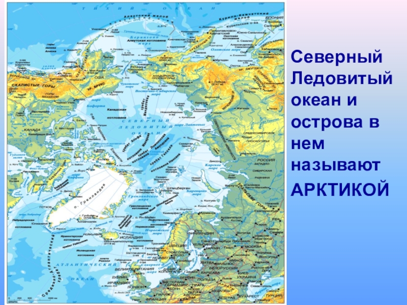 Заливы морей северного ледовитого океана. Северный Ледовитый океан физическая карта границы. Северный Ледовитый океан на карте. Острова Северного Ледовитого океана на карте. Моря и острова Северного Ледовитого океана.