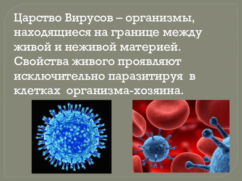 Проект на тему вирусы по биологии 10 класс