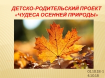 Детско-родительский Проект Чудеса осенней природы