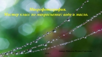 Презентация - Мастер класс по макрофотографии