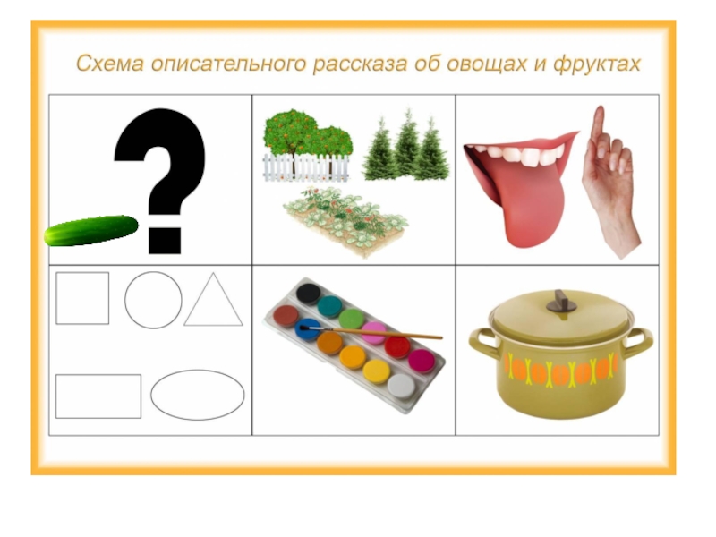 Схема для описательного рассказа насекомые