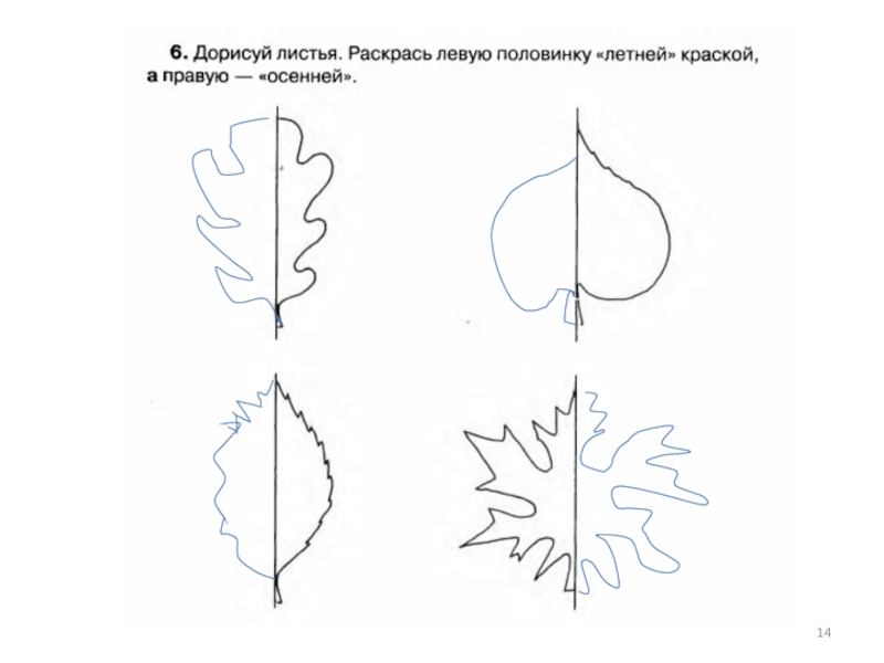 Раскрась только симметричные рисунки окружающий мир