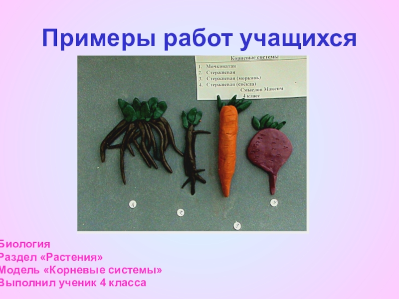 Область применения продукта проекта