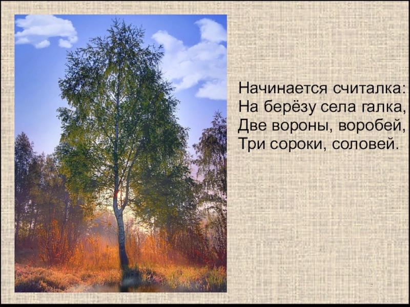 на березу сели. на березу сели. рисунок детский птицы на березе. на березу сели. короткие тексты для списывания.