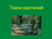 Презентация по биологии на тему Ткани растений (5 класс )