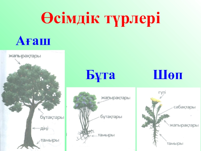 Жаратылыстану тех карта