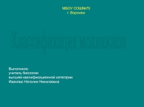 Презентация по биологии для 7 класса Классификация моллюсков
