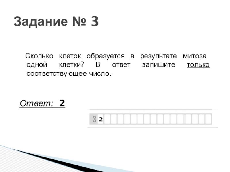 1 клетка сколько. Сколько клеток образуется. Сколько клеток образуется в результате митоза одной клетки. Митоз сколько клеток образуется. Сколько клеток образуется в результате митоза одной клетки в ответ.