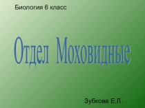 Презентация по биологии на тему Отдел Моховидные 6 класс