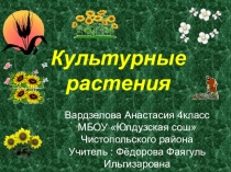 Презентация по окружающему миру