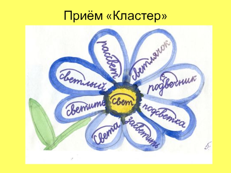 Ромашка имя прилагательное. Кластер для детей начальной школы. Кластер это что такое в начальной школе. Кластер рисунок. Как красиво оформить кластер.