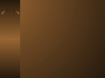 Презентация по ОБЖ Организация Гражданской Обороны в 10 классе