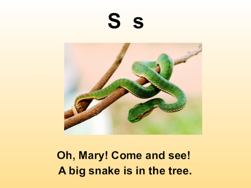 Oh mary. Snake is. Snake Oh Snake Oh. Snake описание на английском.