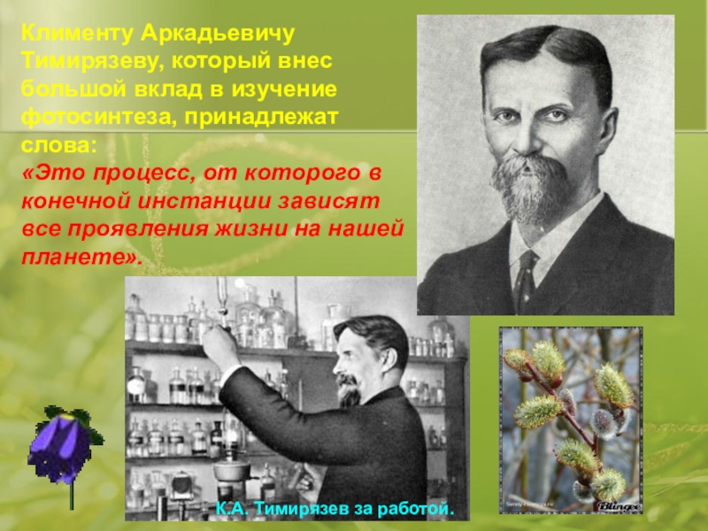 Вклад в изучение. Тимирязев Климент Аркадьевич научные достижения. Климент Аркадьевич Тимирязев фотосинтез. Заслуги Тимирязева. Климент Аркадьевич Тимирязев вклад в биологию.