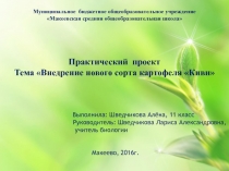 Презентация Практический проект Внедрение нового сорта картофеля Киви