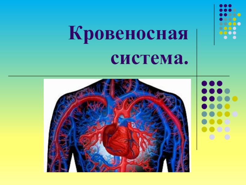 Кровеносная система человека презентация