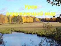 Презентация к уроку окружающий мир