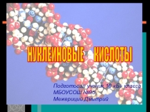 Презентация по биологии на тему Нуклеиновые кислоты (10 класс)