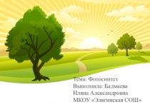 Презентация по биологии на тему Фотосинтез