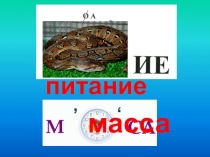 Презентация Масса и правильное питание (4 класс)