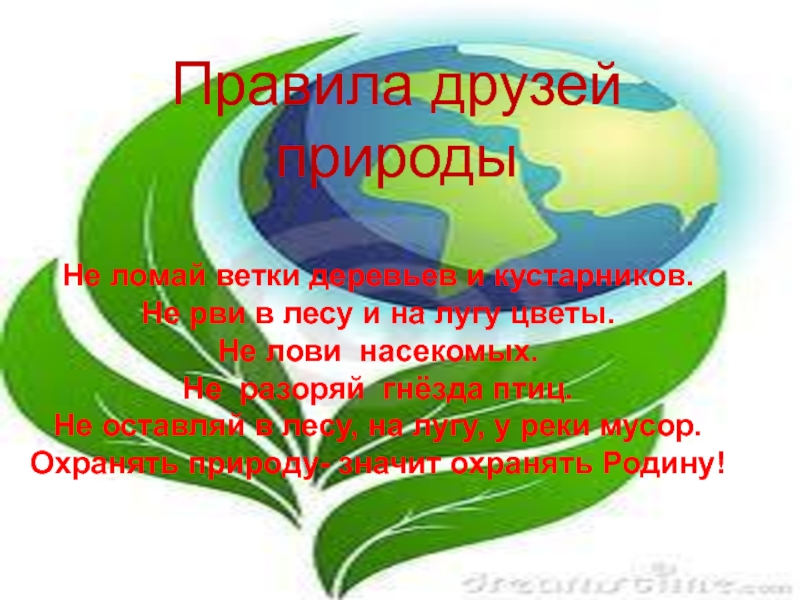 Викторина по экологии в старшей группе презентация