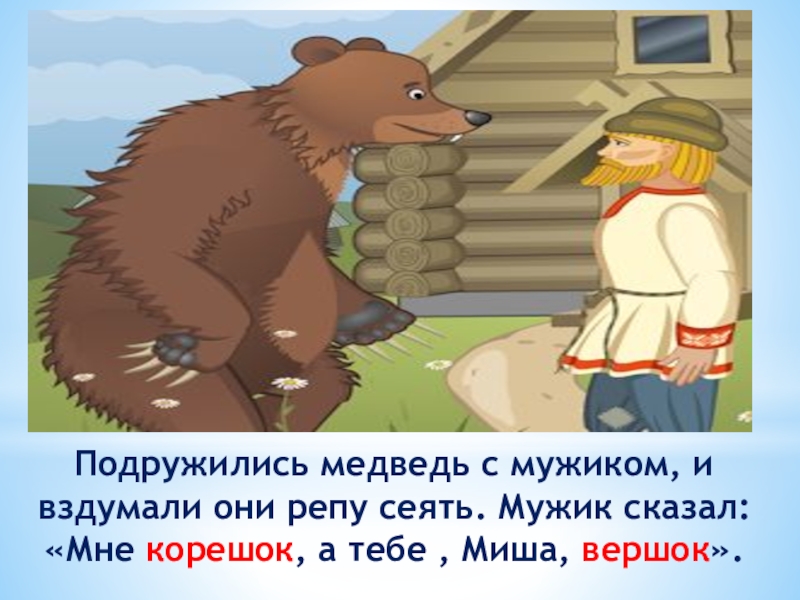 Подружились медведь с мужиком, и вздумали они репу сеять. Мужик сказал: «Мне корешок, а тебе , Миша,