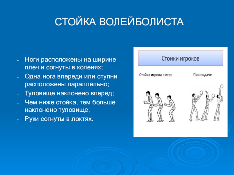 Какой должна быть исходная стойка игрока. Стойка игрока в волейболе. Устойчивая стойка волейболиста. Основные стойки в волейболе. Высокая средняя и низкая стойка в волейболе.