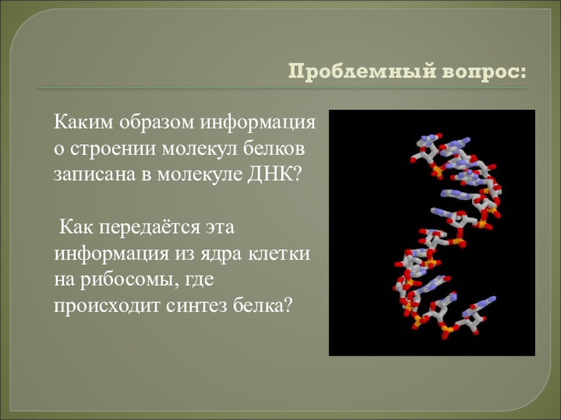 Информация о структуре белка. ДНК структура белковых молекул. В ДНК записана информация о. Наследственная информация о первичной структуре белка. Через поцелуй передается ДНК.