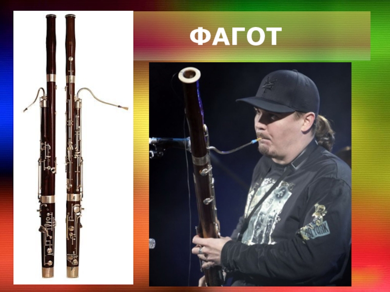 Фагот музыкальный инструмент фото и описание