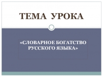 Презентация по русскому языку на тему Словарное богатство русского языка (7 класс)