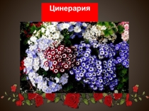 Презентация по цветоводству и декоративному садоводству (9 класс)