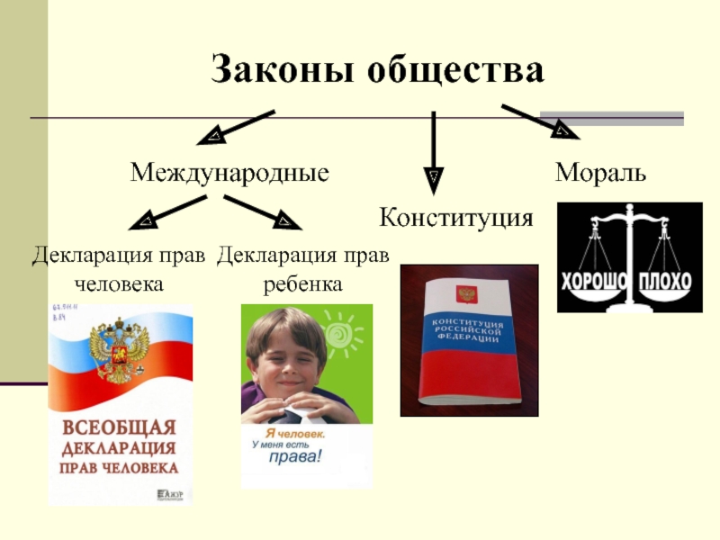 Теме закон. Законы общества. Закон это в обществознании. Законы социума. Международные права человека Конституция.