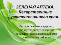 Презентация Зеленая аптека. Лекарственные растения нашего края для детей старшего дошкольного возраста.