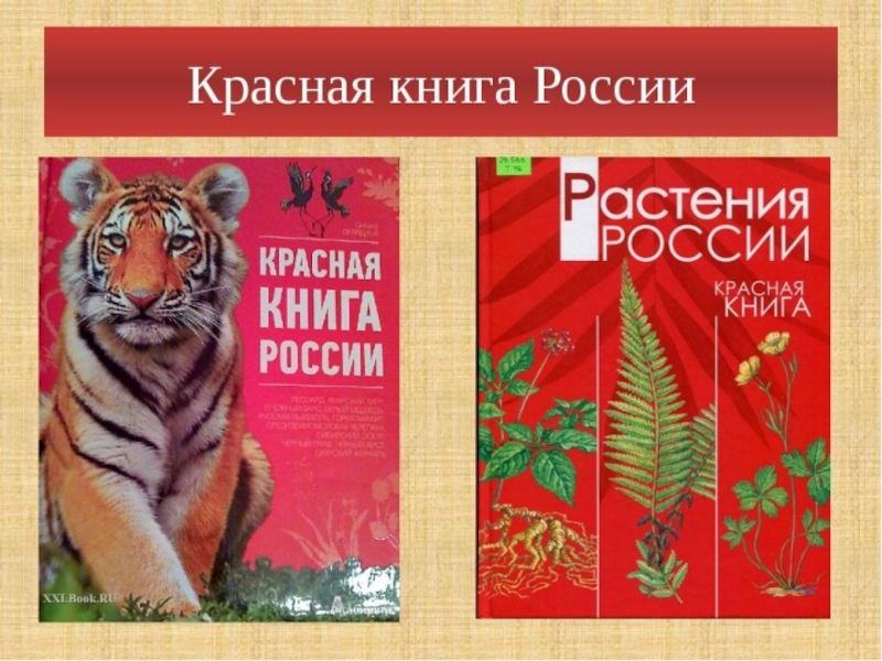 Презентация на тему красная книга