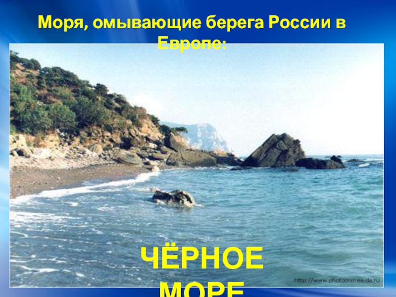 Берег омывает море. Моря омывающие берега. Берег моря Россия. Черное море омывает берега. Чёрное море омывает берега РФ.