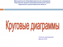 Презентация по теме: Круговые диаграммы