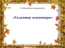 Презентация по казахскому языку на тему Ғаламтор ғажаптары (5 класс)