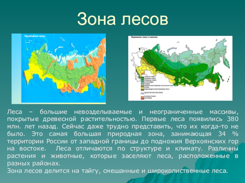 Природные зоны доклад 6 класс. Природные зоны России 4 класс окружающий мир зона лесов. Природные зоны России зона смешанных лесов 4 класс окружающий мир. Рассказ о зоне лесов. Доклад на тему Лесная зона.