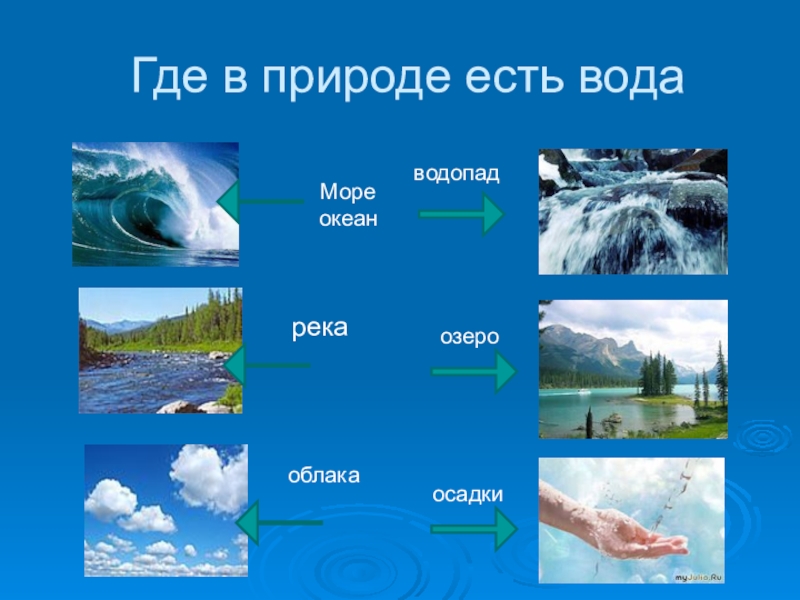 Жизнь в пресных водоемах 4 класс окружающий мир презентация школа россии