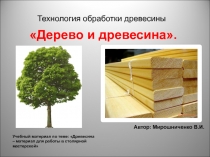 Презентация по технологии на тему Дерево и древесина 5 класс