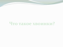 Презентация к уроку окружающего мира в 1 классе по теме Что такое хвоинки?